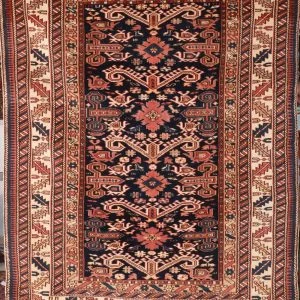 SHIRVAN CICI fine